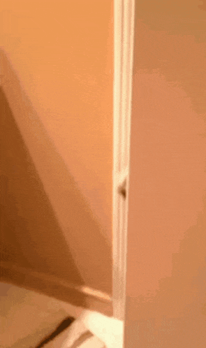 a dog is sticking its head through a doorway