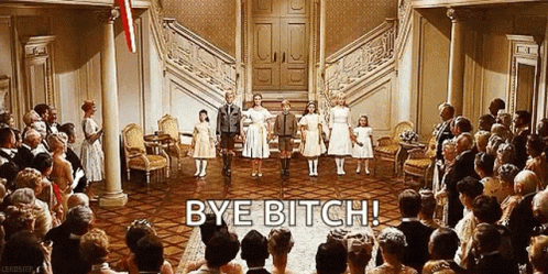 A clip from The Sound of Music where the kids sing, “So Long, Farewell” but the caption is “Bye Bitch”