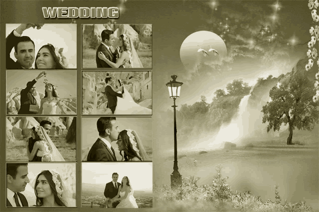 a black and white photo of a bride and groom with the words wedding on the top