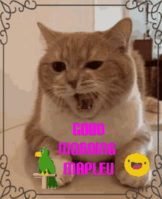 a picture of a cat with the words good morning mapleu written on it