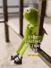 kermit the frog is sitting on a bench waiting on a text .