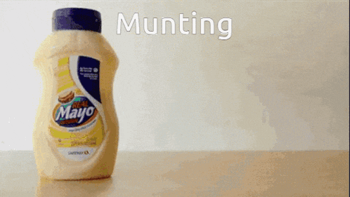 a bottle of mustard is being poured into another bottle of mustard