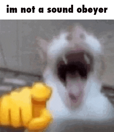 a picture of a cat with its mouth wide open and the words im not a sound obeyer