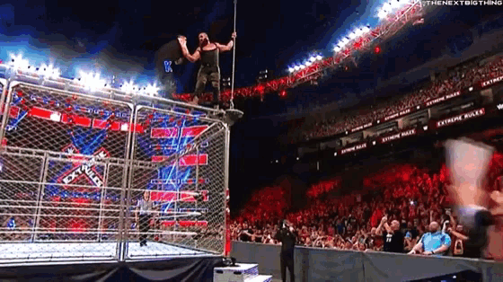 a wrestler is standing on top of a fence in a wrestling ring .