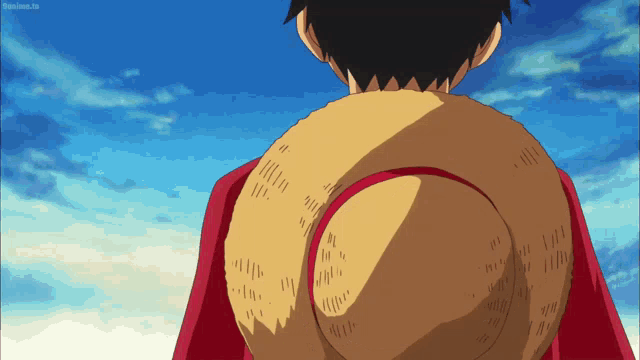 a man wearing a straw hat and a red cape is looking at the sky