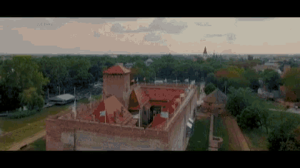 an aerial view of a castle surrounded by trees and grass