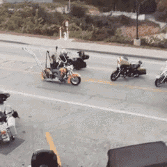 Motorcycle Harley GIF - Motorcycle Harley Coolguy GIFs