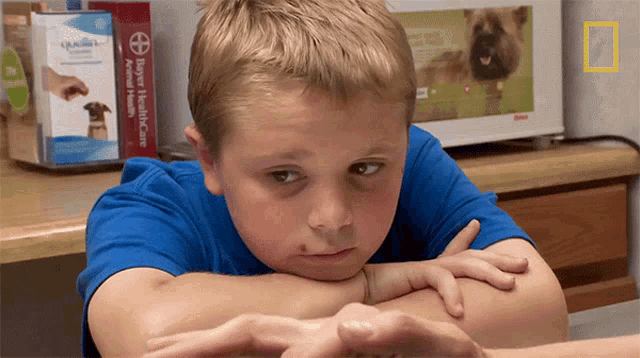Bored Crystal Blink GIF - Bored Crystal Blink The Incredible Dr Pol GIFs