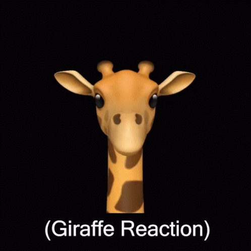 Giraffe Reaction GIF - Giraffe Reaction GIFs