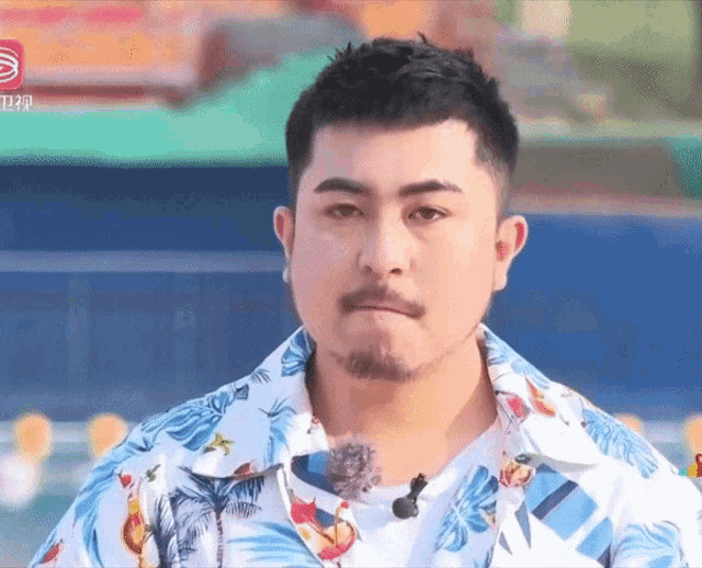 a man with a beard wearing a hawaiian shirt looks at the camera