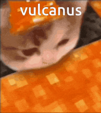 a close up of a cat 's face with the word vulcanus on it