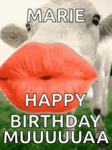 a cow with red lips is blowing a kiss and says happy birthday marie