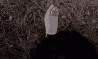 a person is laying on their back in the grass .
