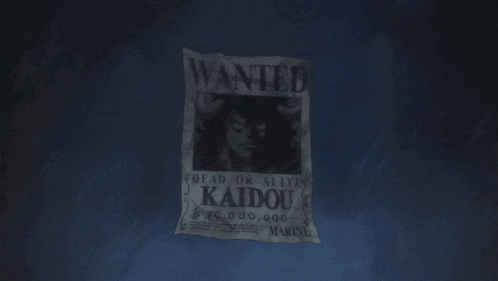 a wanted poster for kaidou is floating in the ocean