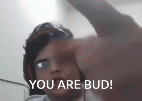 You Are GIF - You Are Bud GIFs