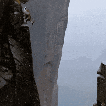 a person is climbing up a cliff with a rope attached to it