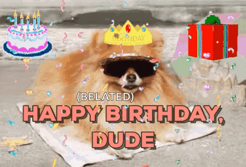 a dog wearing sunglasses and a crown says happy birthday dude on the bottom