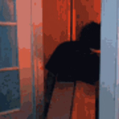 a blurry image of a person standing in a doorway