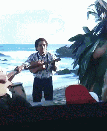 Cantar Beach GIF - Cantar Beach Rob Schneider GIFs