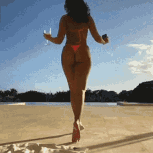 a woman in a bikini holds a glass of wine in her hand