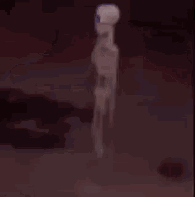 Skeleton Pig Skeleton Animal GIF - Skeleton Pig Skeleton Animal Skeleton Standing Still GIFs
