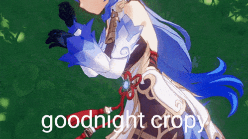 a girl with blue hair is standing in a field with the words `` goodnight cropy '' written above her .