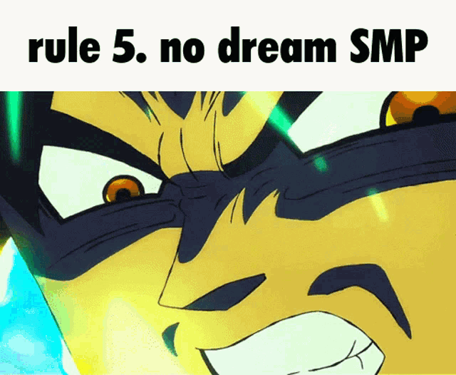rule 5 : no dream smp is written above a cartoon face