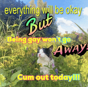 a picture of a cat in a field with the words " everything will be okay but being gay won 't go away "