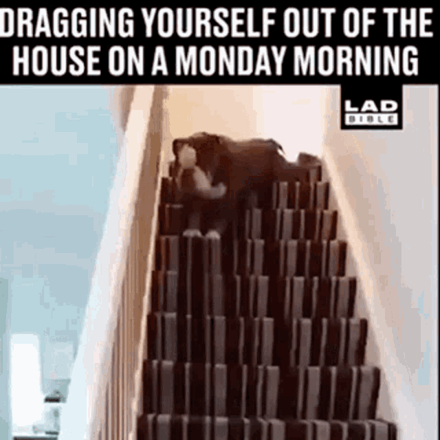 Monday Morning Every Monday GIF - Monday Morning Every Monday Going Downstairs GIFs