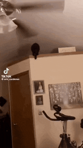 a room with a ceiling fan and a bicycle in it