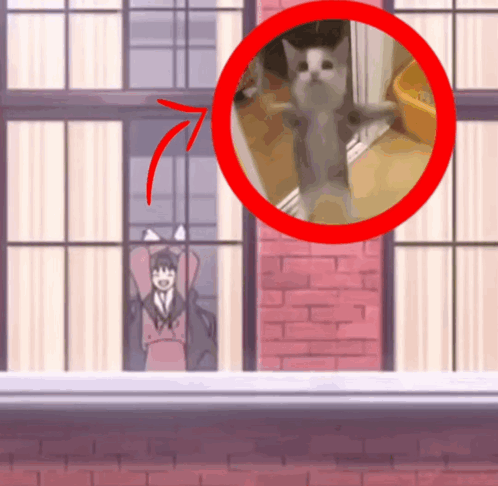 a cat standing on its hind legs in front of a window with a red circle around it