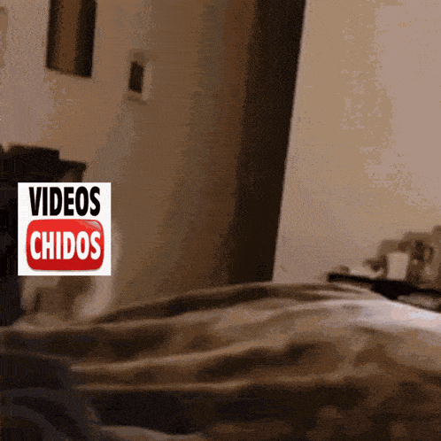 a blurred image of a bed with a video chidos logo on it