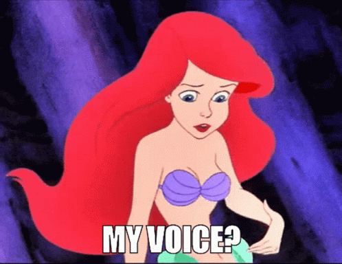 Ariel My Voice GIF - Ariel My Voice The Little Mermaid GIFs