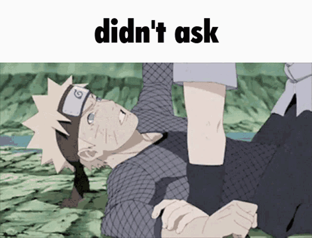 a cartoon character laying on the ground with the words didn 't ask