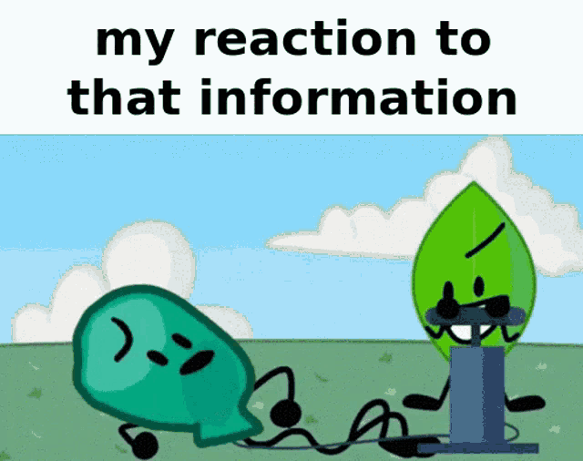 a cartoon of a green balloon and a green leaf with the words my reaction to that information