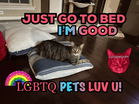 a cat laying on a striped pillow with the words just go to bed i 'm good