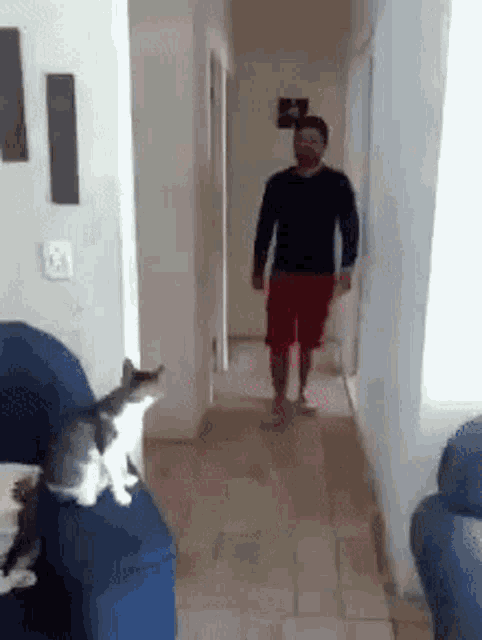 a man in a black shirt and red shorts walks down a hallway