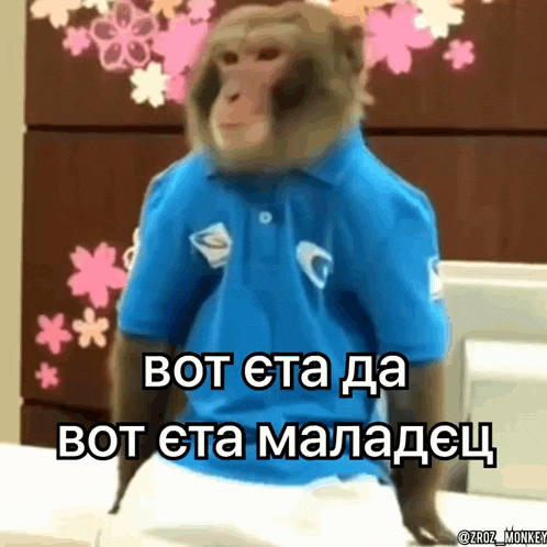 a monkey wearing a blue shirt says bot eta da