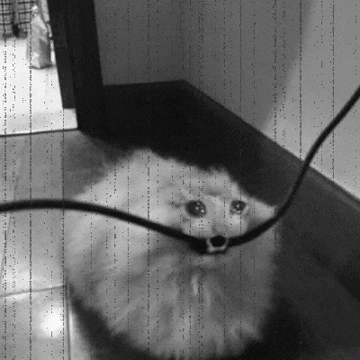 a black and white photo of a cat laying on the floor next to a wire