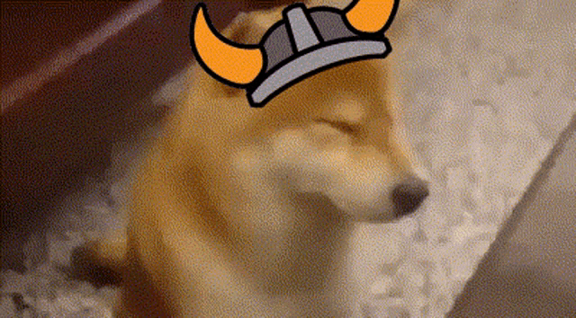 a dog wearing a viking hat is sleeping in a bucket of ice .