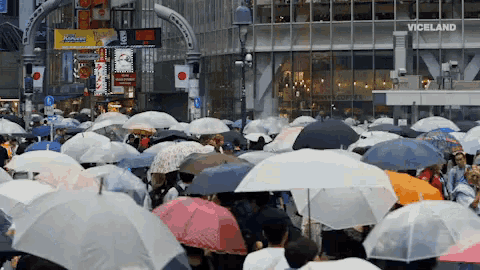 a crowd of people holding umbrellas in front of a viceland store