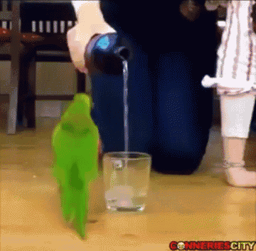 Perroquet Spinning GIF - Perroquet Spinning Pouring Out GIFs