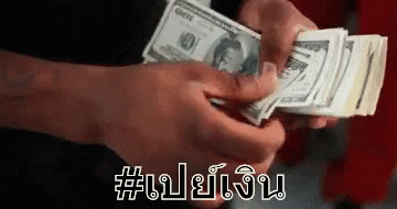 เปย์เงิน นับเงิน จ่ายตังค์ GIF - Pay Money Pay Paying GIFs