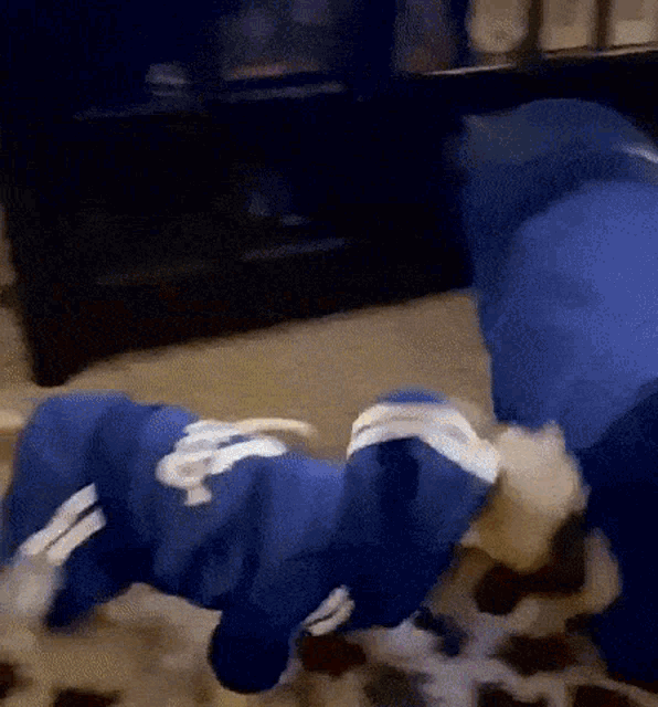 Romeo The Dog Stop Drop Roll GIF - Romeo The Dog Stop Drop Roll Get GIFs