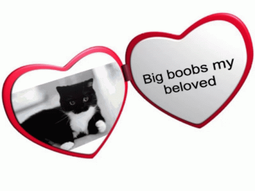 Cat Funny Big Boobs Heart Locket GIF