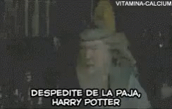 Despedite De La Paja Harry Potter GIF - Despedite De La Paja Harry Potter GIFs