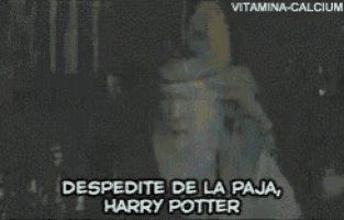 a man with a beard and a crown is saying despedite de la paja harry potter