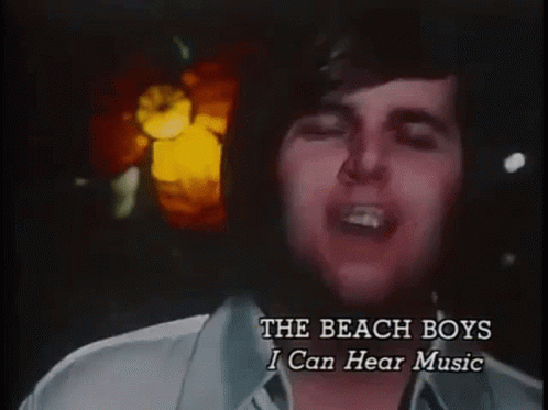 Carl Wilson Spinning GIF - Carl Wilson Spinning The Beach Boys GIFs