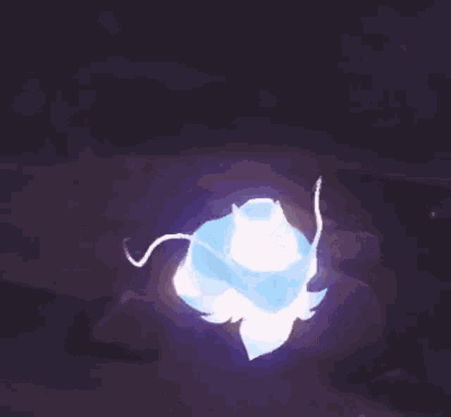 a blue and white flower is glowing in the dark in a video game .