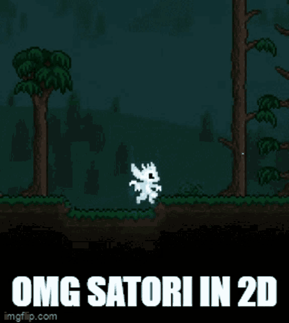 a screenshot of a video game with the words omg satori in 2d below it